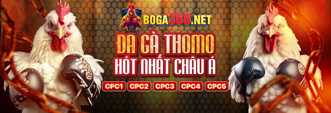 Đá Gà Trực Tuyến gk888 win - Trận Đấu Sống Động