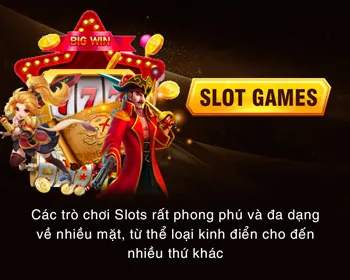 Đa Dạng Loại Hình và Trận Đấu